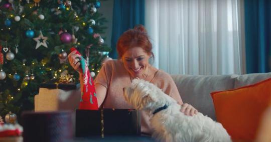 Собаки створили різдвяні светри завдяки бренду Cesar 901a61c5eeeb927133872a2c9d602175