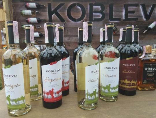 Koblevo показав, як створюється справжнє вино b625b4a70a8b3c48abdd24a43413b413